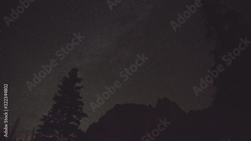 Night time stars over trees