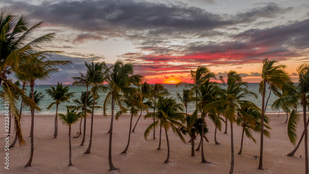 Tropical beach in sunset, palm trees, sand and blue ocean, exotic vacation and holiday concept