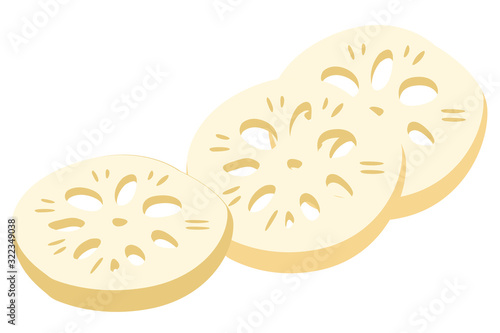 Lotus root, slices of exotic fruit. Natural tropical plant. Made in cartoon flat style. Vector illustration