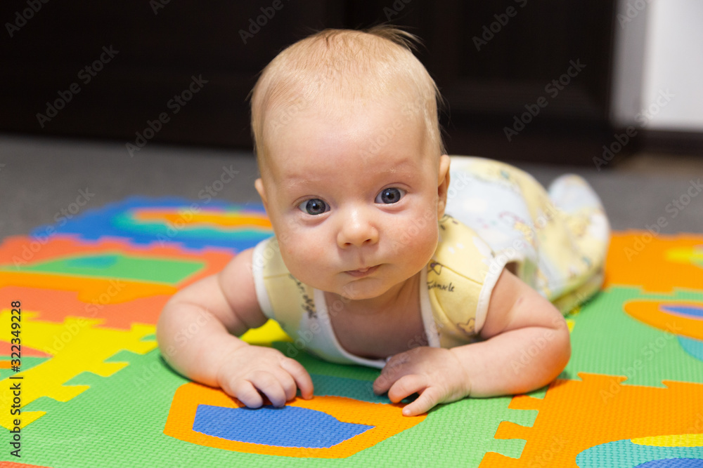 portrait of a baby portrait of a baby
