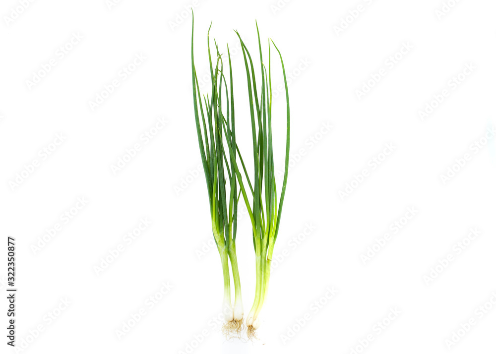 Green onion, Spring onion isolated on white background. Green onion, Spring onion isolated on white background.