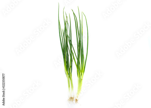 Green onion  Spring onion isolated on white background.