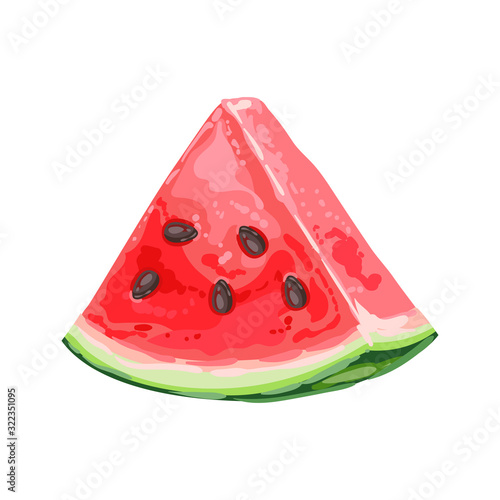 Illustration of ripe watermelon slice.