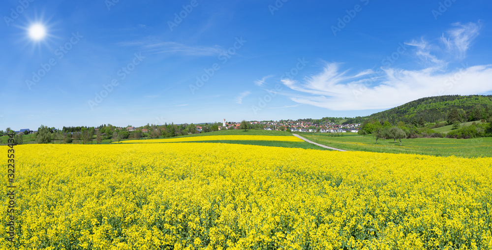 Blühendes Rapsfeld in sonniger ländlicher Landschaft mit Dorf - Panorama Blühendes Rapsfeld in sonniger ländlicher Landschaft mit Dorf - Panorama
