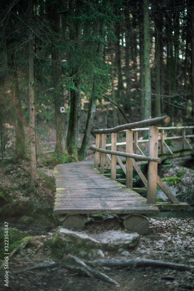 The Höllbachtal in Bavaria in Germany 13 The Höllbachtal in Bavaria in Germany 13