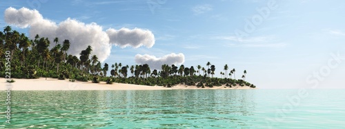 Panorama of a tropical coast with palm trees, tropical island, 3D rendering