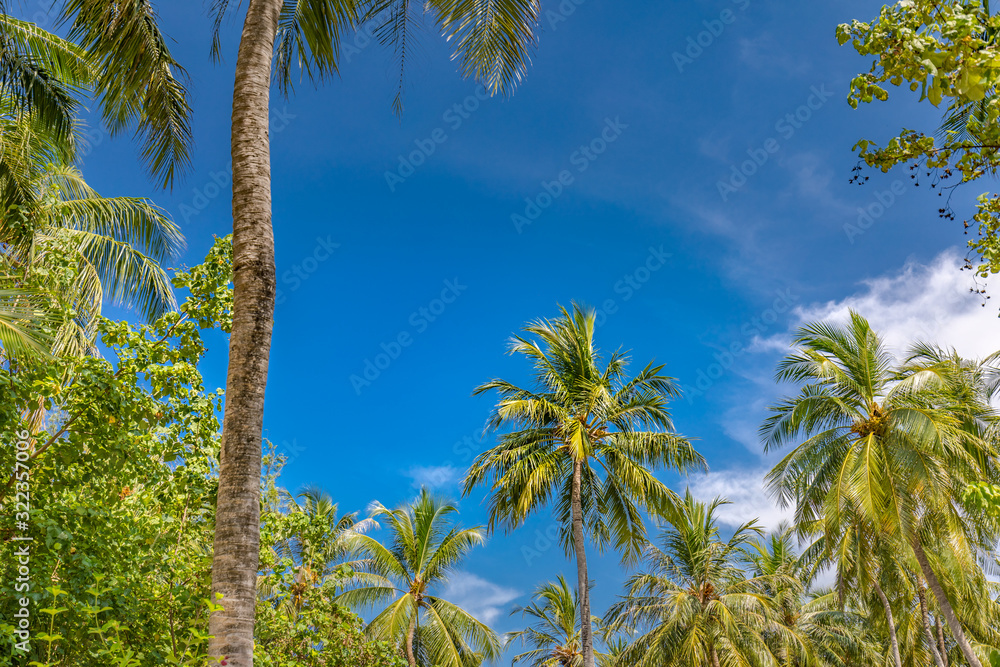 Paradise nature, sea on a tropical beach with green tree. Tropical jungle and floral backdrop. Exotic nature background