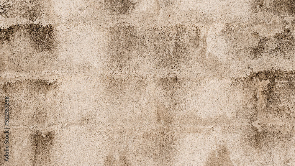 Fototapeta premium White cement wall with cracks And black donkey