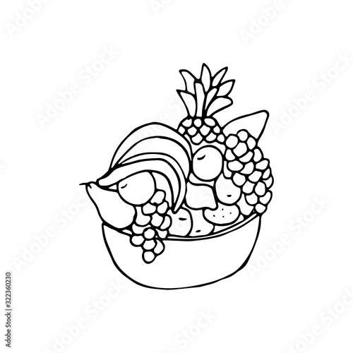 A bowl of fruit in doodle style. Hand drawn vector illustration in black ink on white background. Isolated outline.  