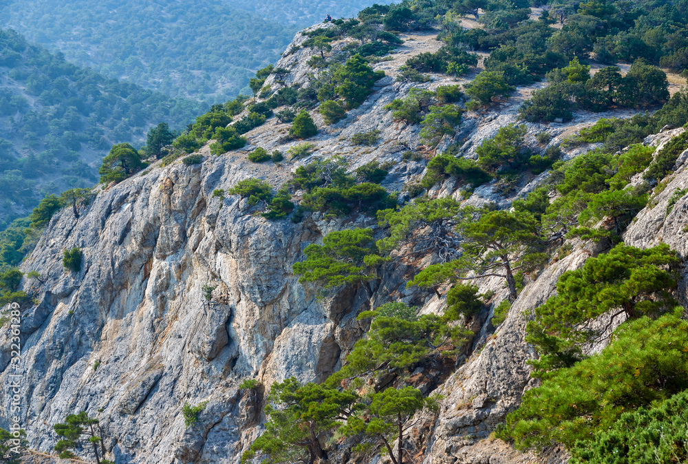 Mountain view, juniper groves, Crimea Peninsula