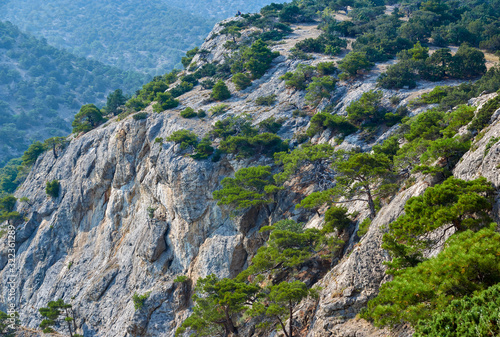 Obraz na płótnie Mountain view, juniper groves, Crimea Peninsula w salonie