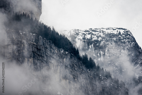 foggy mountain with trees
