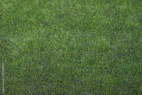 Turf Field Texture 