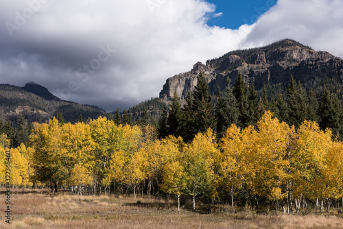 Autumn gold in the Cimarrona Valley with mountain peaks dominating the horizon. Located within the San Juan National Forest, Colorado.