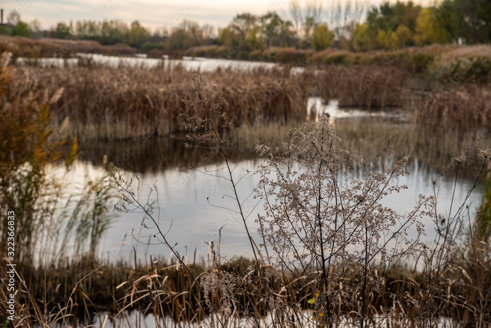 Landscape photo of a water and peaceful place