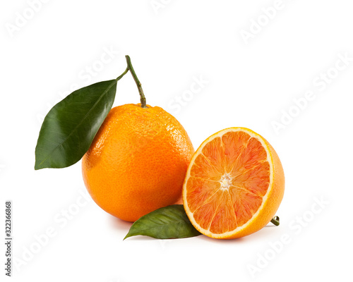 Orange leaf isolated on white background - Arancia Tarocco - Citrus sinensis 