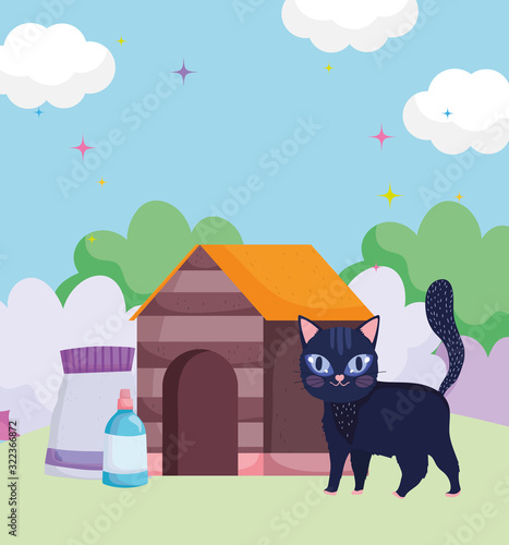 cat walking house with food outdoor pets