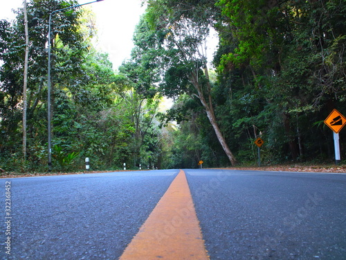 Empty Road with an endless yellow line in the mountains of Chiangmai Thailand surrounded by dense forests
