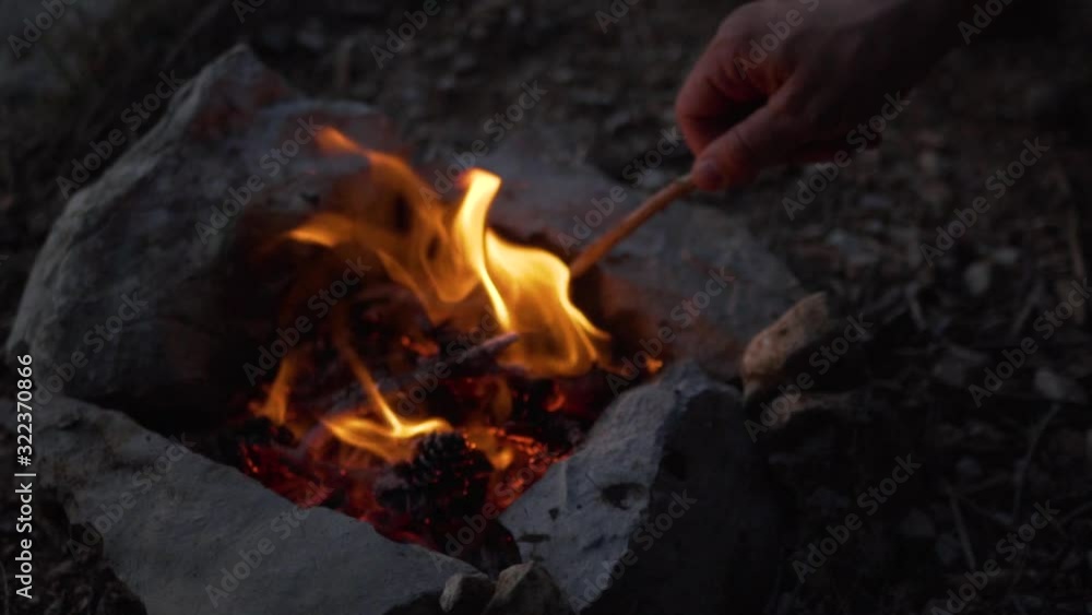 Evening in the forest, lit a bonfire. The fire burns brushwood, branches, logs. Evening in the forest, lit a bonfire. The fire burns brushwood, branches, logs.