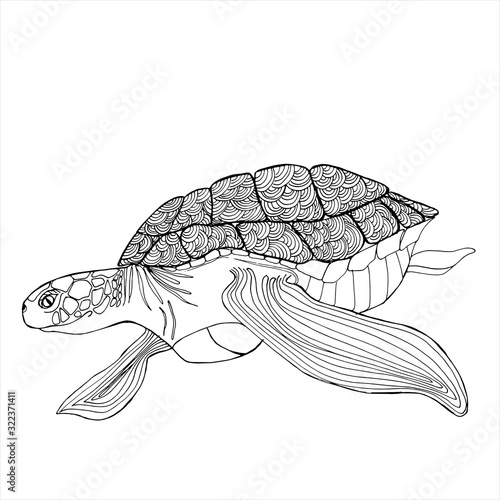 Sea Turtle Coloring Book. Hand drawing coloring book for children and adults.