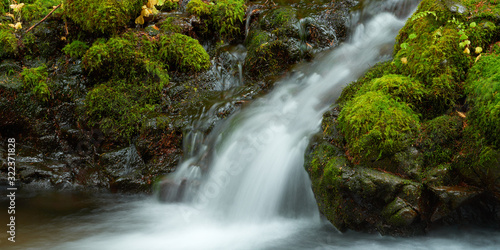 Panoramic view of a mountain creek flows among stones covered by moss in the forest in Oregon.