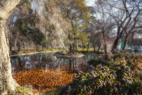 Fototapeta Naklejka Na Ścianę i Meble -  Small lake in Buen Retiro park in Madrid