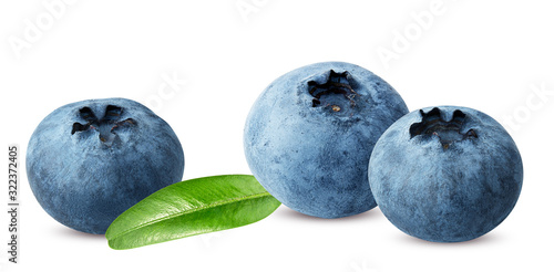 Fresh blueberries isolated on white background with clipping path