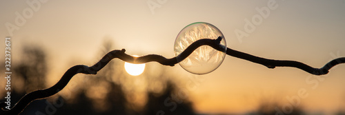 Filigrane Seifenblasen gefroren