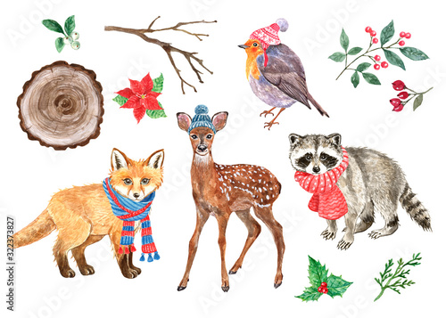 Winter woodland animals and plants set. Watercolor cute deer  baby fox  little raccoon in warm scarf  robin bird in hat  isolated on white background. Hand drawn illustration.