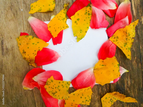 yellow apricot leaves and rose petals on a wooden board and a white sheet of paper for writing