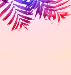 Tropical palm leaf on a pink pastel background