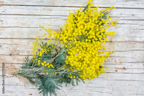 Mimosa flowers on wooden background. 8 march, women day symbol and spring.