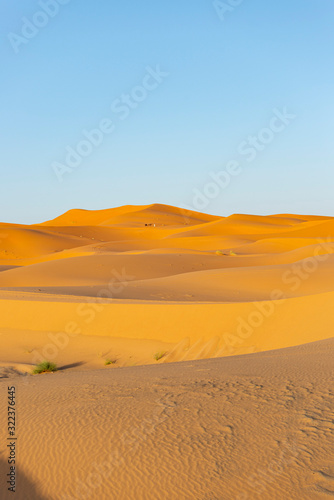 Maroc. Morocco. Merzouga. Dunes de sable dans le désert du Sahara. Sand dunes in the Sahara Desert.