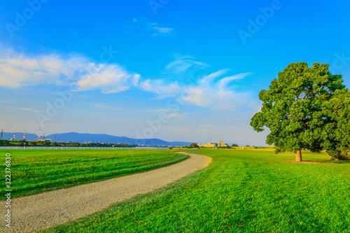 Fototapeta Naklejka Na Ścianę i Meble -  夏の河川公園