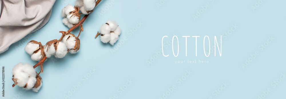 Flat lay Beautiful cotton branch and gray natural cotton fabric on blue background top view copy space. Delicate white cotton flowers. Light color cotton background. Eco textiles - obrazy, fototapety, plakaty 