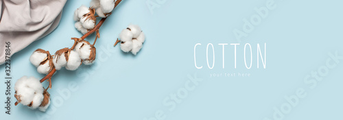 Flat lay Beautiful cotton branch and gray natural cotton fabric on blue background top view copy space. Delicate white cotton flowers. Light color cotton background. Eco textiles photo
