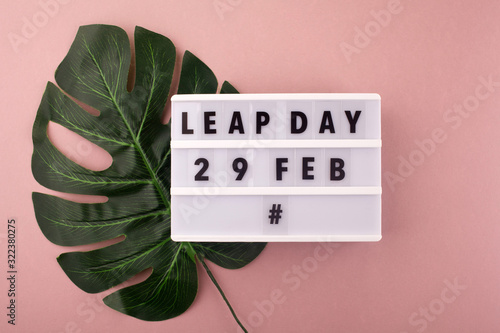 White block calendar present date 29 and month February and plant on pink background. Leap day photo