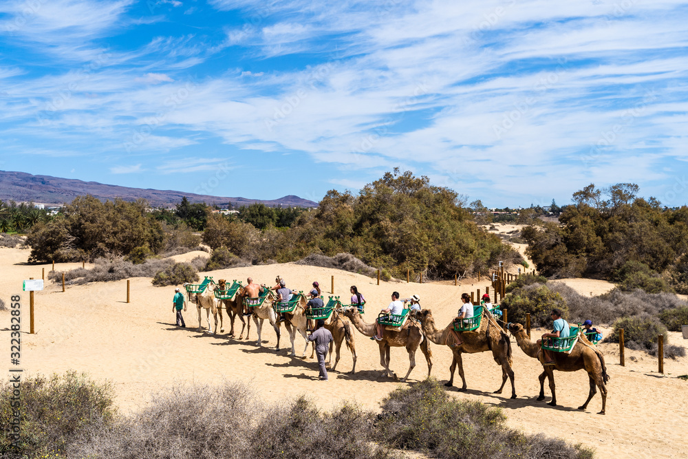 Caravan walking in Maspalomas desert on Gran Canaria, Canary Islands, Spain