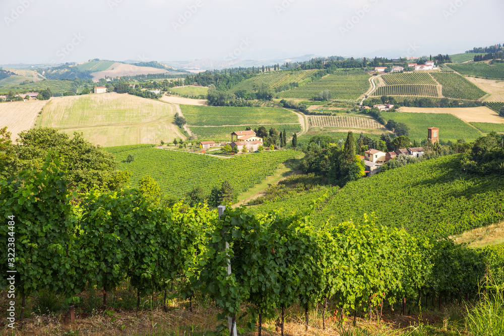 Naklejka premium rural landscape with houses standing alone in the province of Tuscany in Italy