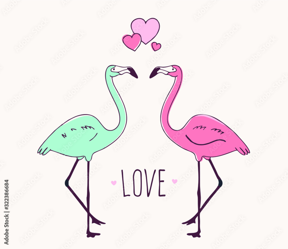 pair of flamingos on a white background