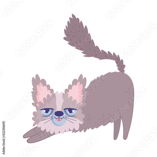 disheveled cat cartoon feline character pets