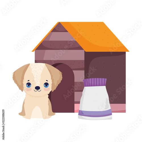 dog sitting in house with food package pets