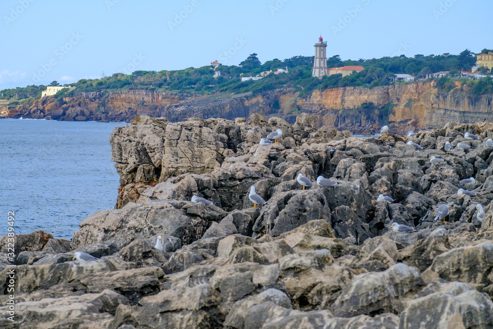 Fototapeta premium coast landscape