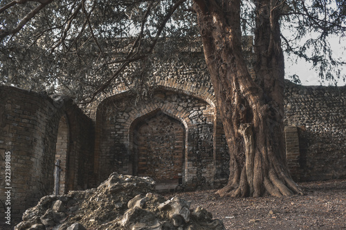 Old ruins in Kearsney Abbey Dover photo