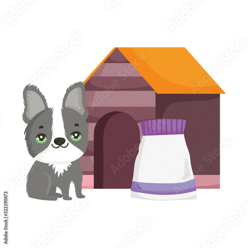 cute dog with house food and bottle pets