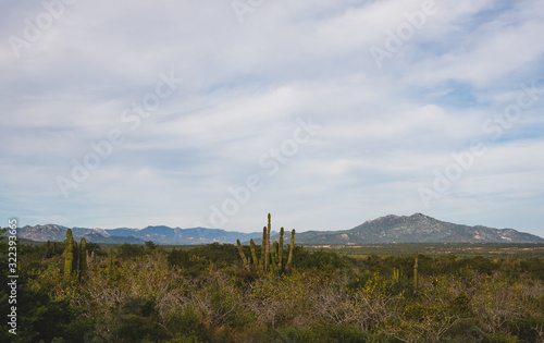 Nice Nature View in Los Cabos, Mexico