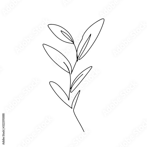 Abstract one continuous line art with botanical illustration with leaf, petal and grass. Simple digital illustration. Vector graphic design download