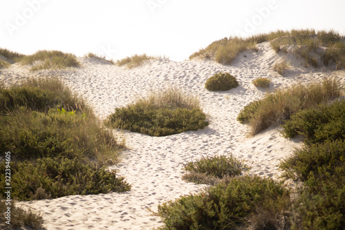 Fototapeta Naklejka Na Ścianę i Meble -  Portugal
