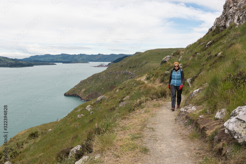 Senior, female hiker walking along the Breeze Bay section of the Awaroa/Godley Head Loop Track. Godley Head, Canterbury, New Zealand.