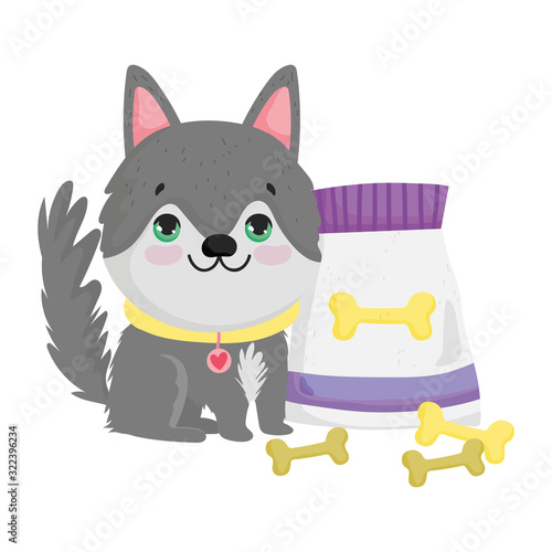little dog sitting with collar food and bones pets